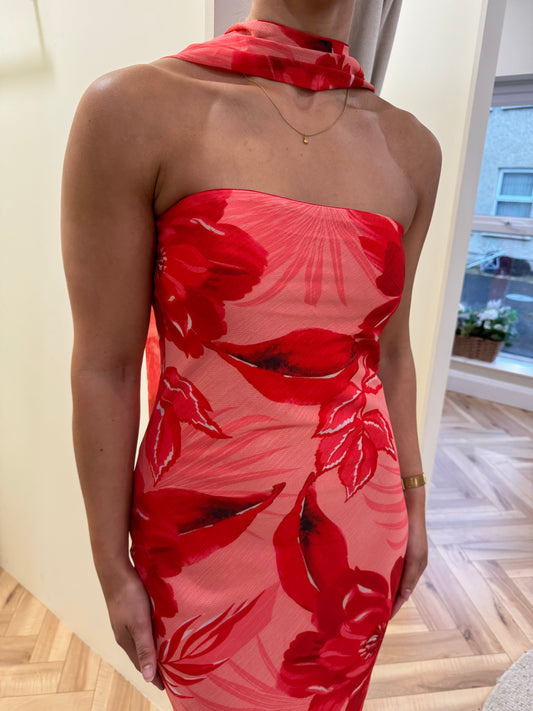 Annalise Dress in Red & Pink