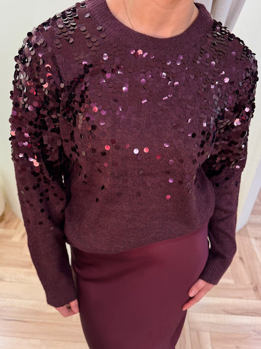 Visiquin Sequin Knit Pullover in Fig