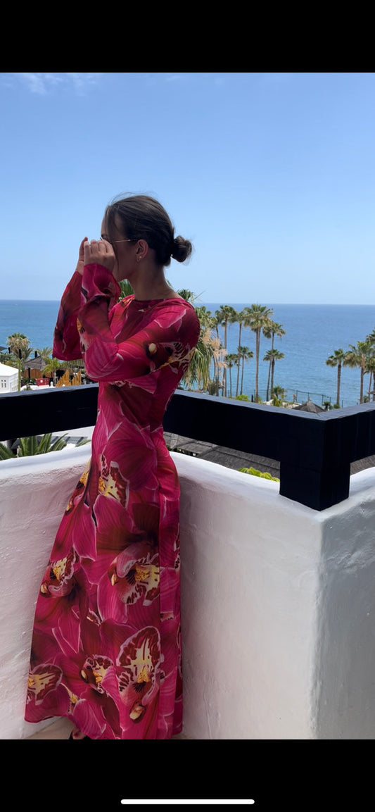 Carmen Mesh Sheer Maxi Dress