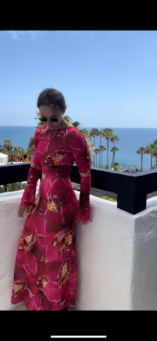 Carmen Mesh Sheer Maxi Dress