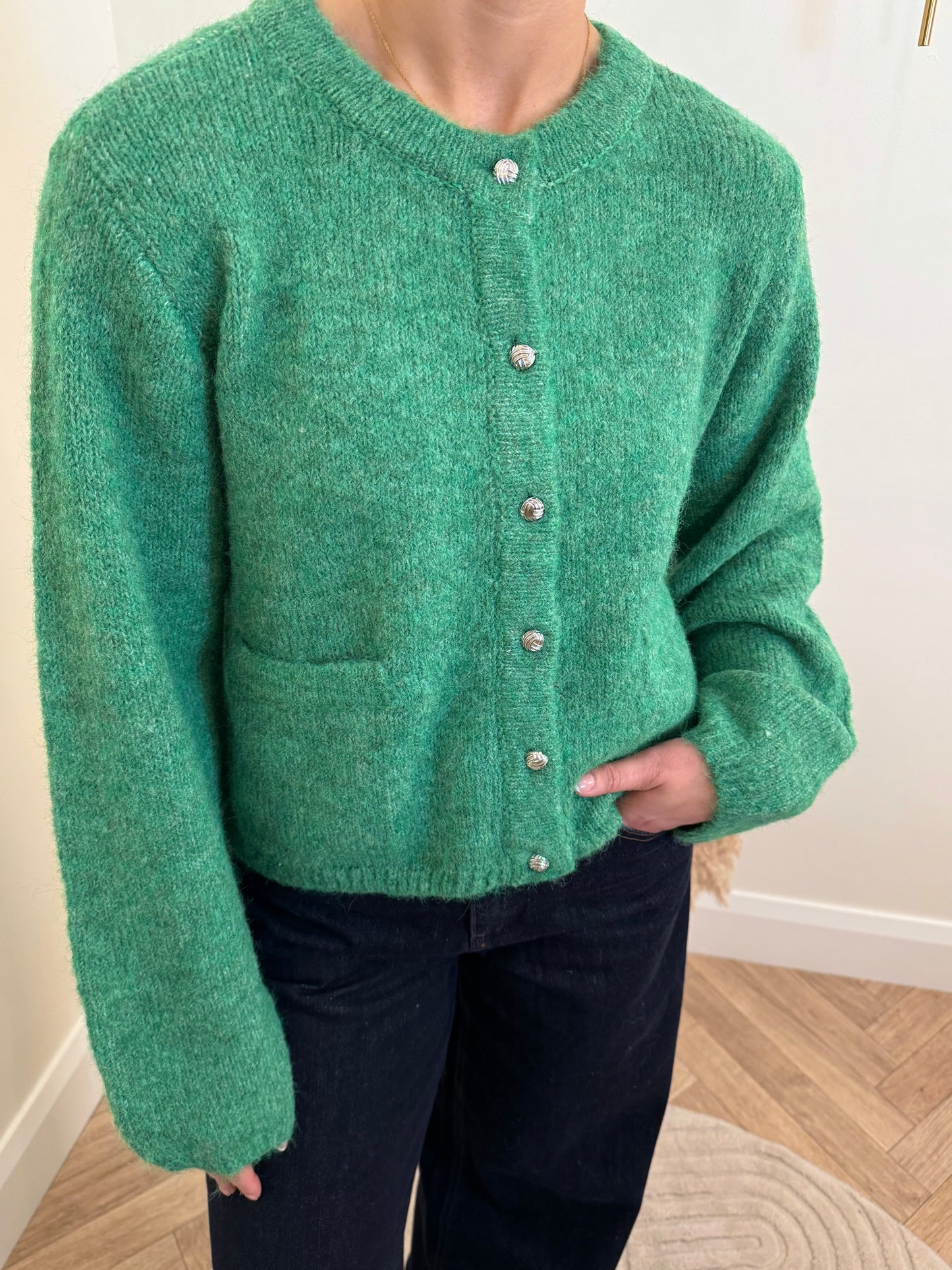 Saggia Cardigan in Medium Green