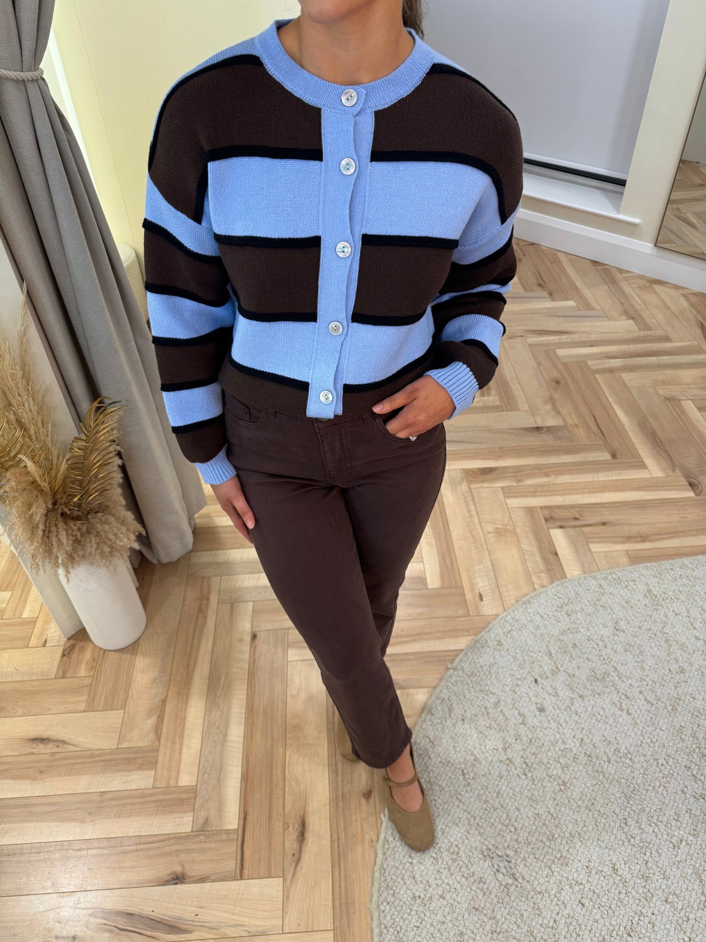 Bronte Stripe Cardigan in Brown & Blue