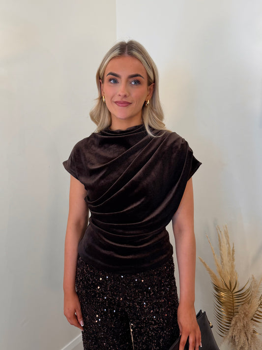 Vilivas velvet top in brown